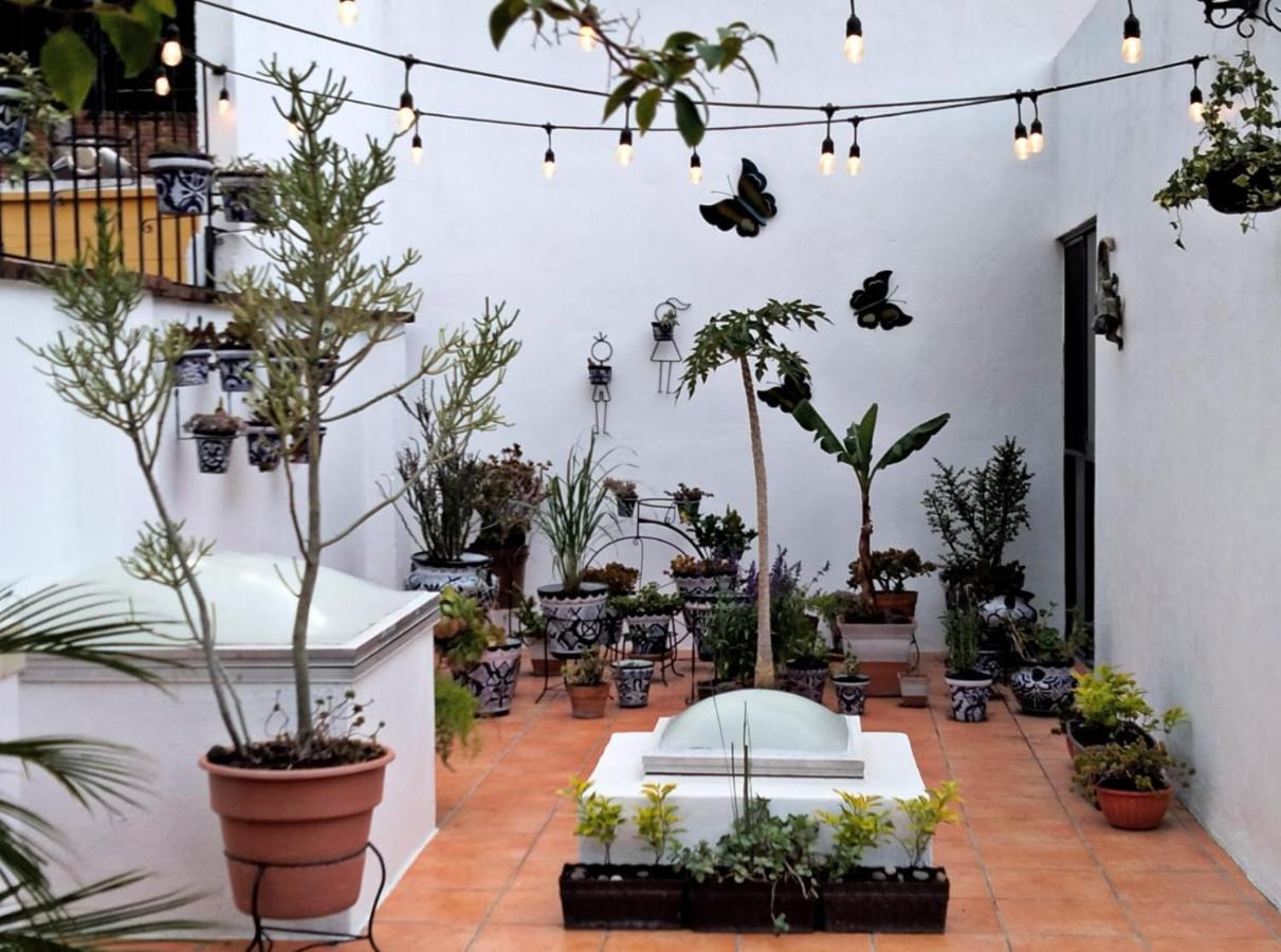 Villa Sueno Azul B&B Guanajuato Exteriér fotografie